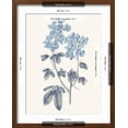 thumbnail image 5 of Art.com Blue Botanical III Art Print by Wild Apple Portfolio, Brown Frame Wall Art, 17" x 21", 5 of 5
