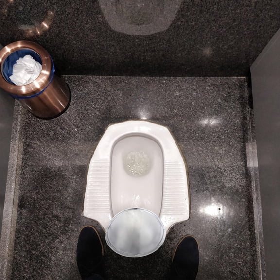 Worgeous Home Squat Toilet Baffle with ABS Material Silver Color Fits Various Scenes 7 Inch