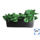 thumbnail image 3 of Maceta de fibra de vidrio FibraFormas Jardinera de Pared Grande Chocolate, 3 of 4