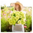 Zinnia Seeds Envy, NonGMO Seeds for Planting, 1 lb LowMaintenance