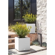 Veradek Block Series Cube Small 18 Plastic Planter - White