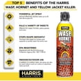 thumbnail image 2 of 16 Oz. Wasp And Hornet Killer (3-Pack), 2 of 6