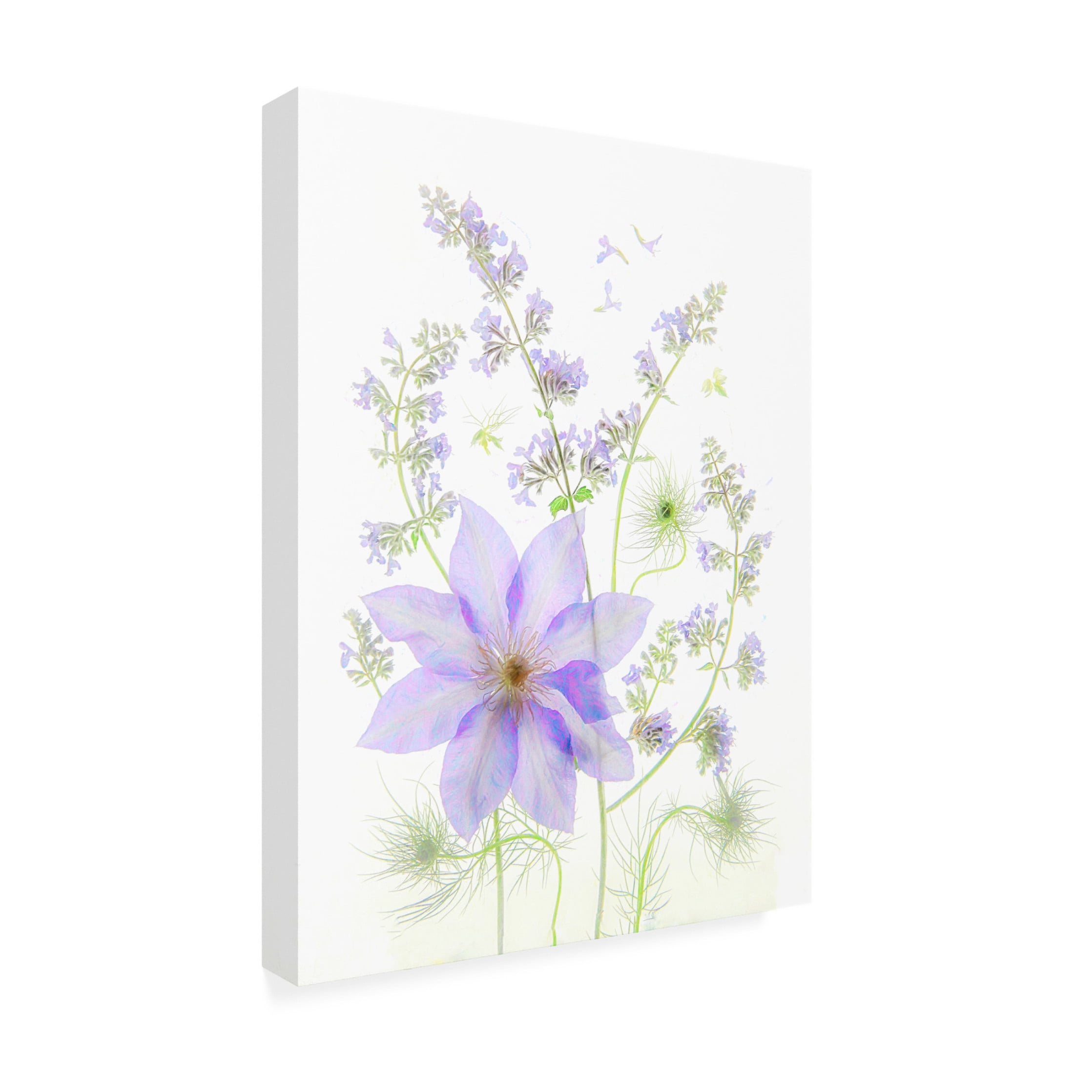 Trademark Fine Art Fangping Zhou Purple Clematis Canvas Wall Art