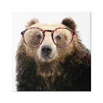 Stupell Funny Grizzly Bear Wearing Glasses Animals & Insects Painting Gallery Wrapped Canvas Print Wall Art