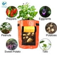 thumbnail image 5 of Deago 2 Pack 10 Gallon Grow Bags Portable Potato Growing Bag Planter Bags Planting Pouch with Handles Access Flap for Carrot Onion Vegetables, 5 of 8