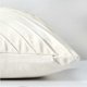 thumbnail image 5 of Cojín de terciopelo beige 45x45cm Cojín de sofá decorativo Funda de almohada Decoración Cojín de asiento de almohada suave para sala de estar Dormitorio Oficina Coche Sofá Silla Jardín Juego de 2 JAMW Sencillez, 5 of 5