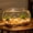 🌺Gold_Hot#404, variant on Glow in the Dark Aquarium Pebbles, 50 Pieces Fluorescent Stones and Shells, Luminous Fish Tank Decor for Aquascaping