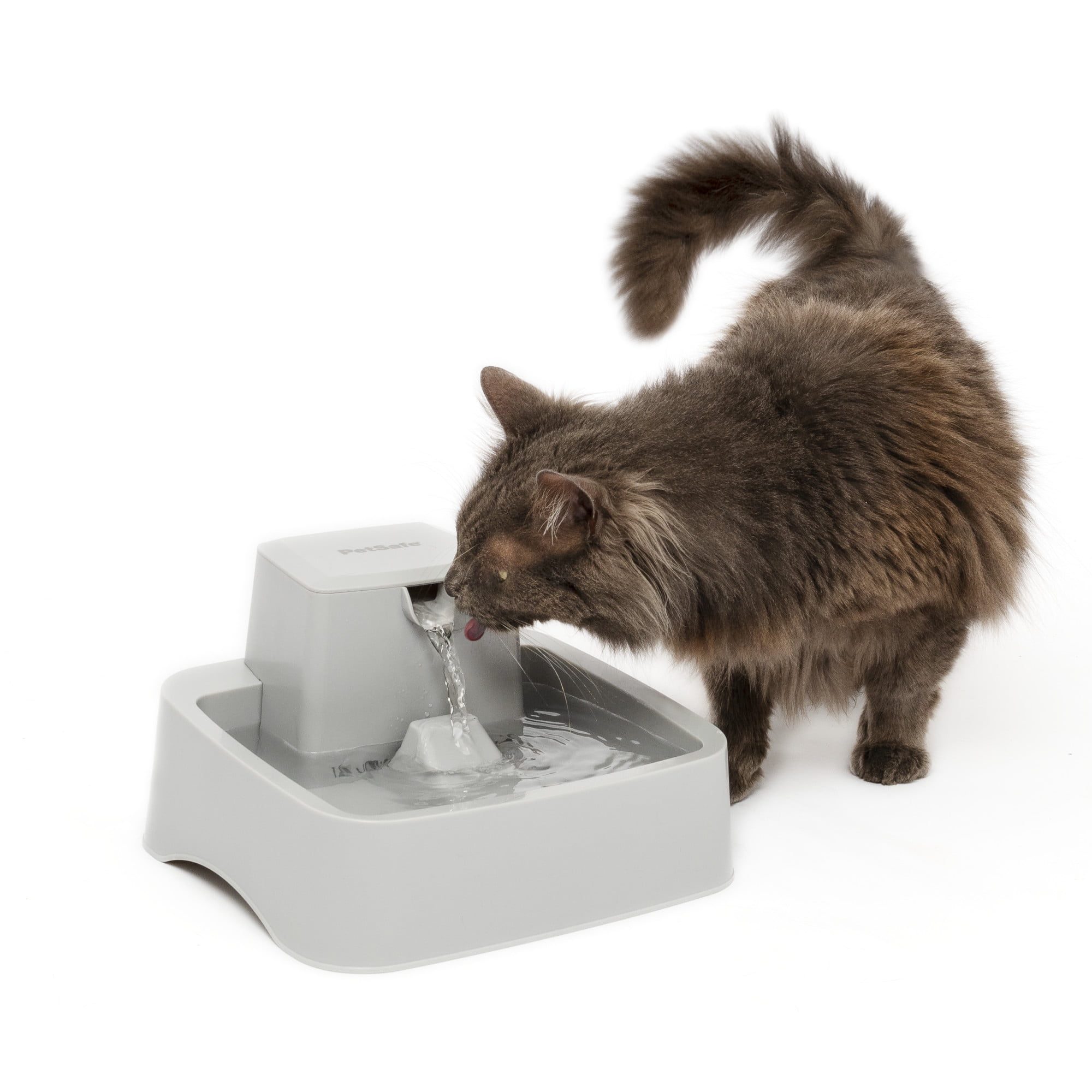cat drinking fountain walmart