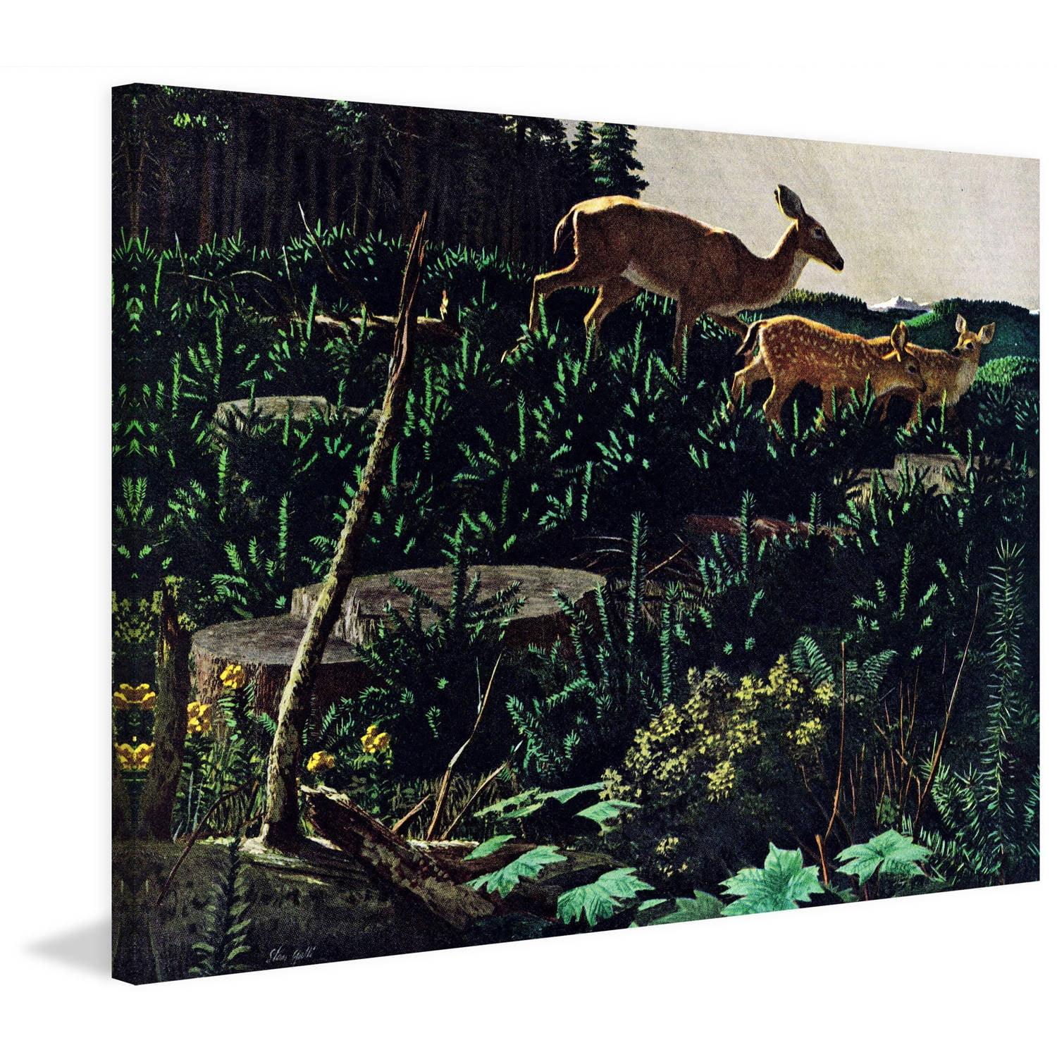 Marmont Hill - "Black Tail Deer" Painting Print on Wrapped Canvas