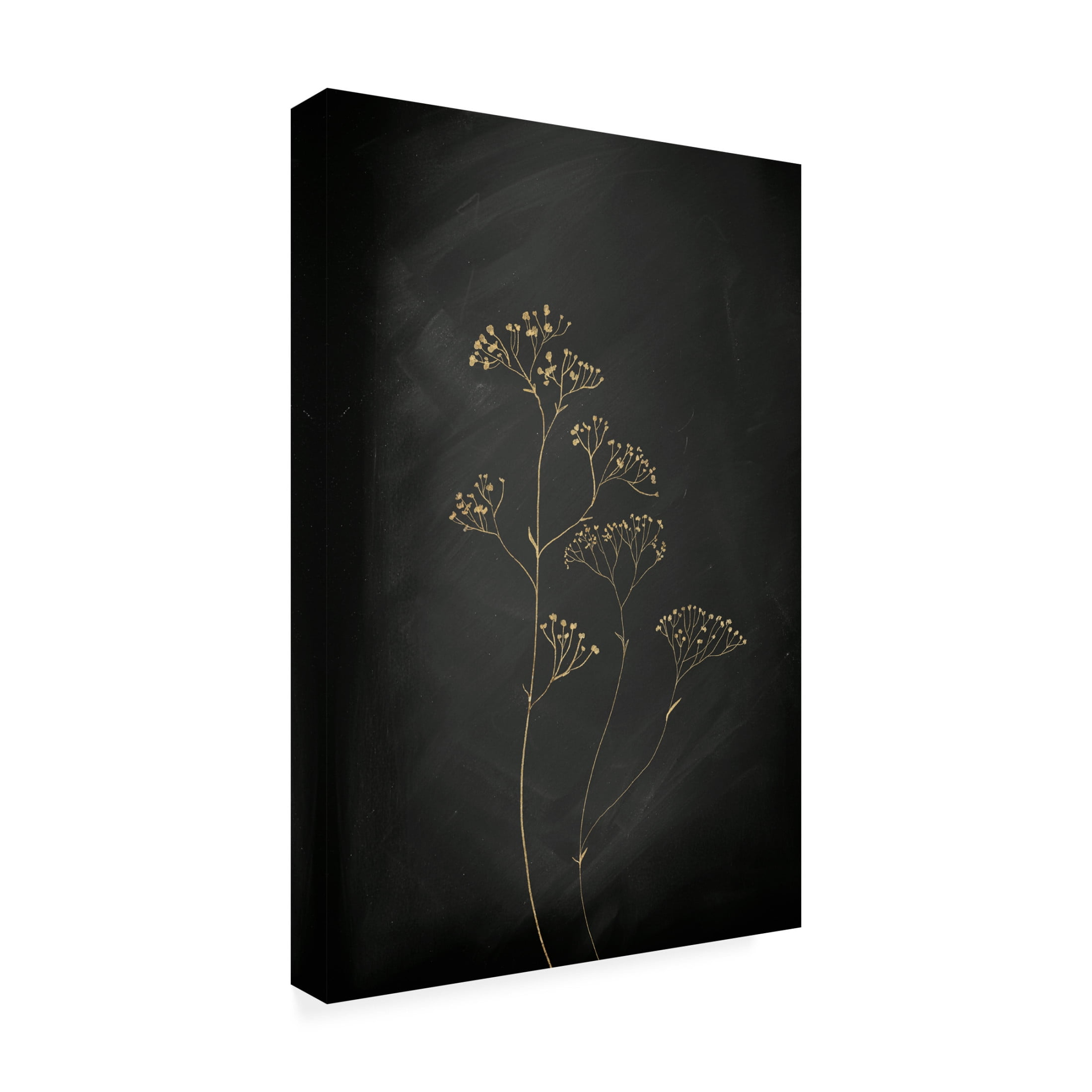 Trademark Fine Art Aureous Black Gold Botanical No 1 Canvas Wall Art