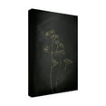 thumbnail image 4 of Trademark Fine Art Aureous Black Gold Botanical No 1 Canvas Wall Art, 4 of 4