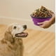 thumbnail image 3 of Large Collapsible Dog Bowls, 34oz Portable Foldable Travel Water Bowl Food Dishes with Carabiner Clip for Traveling, Hiking, Walking, 2 Pack ( Purple+, 3 of 4