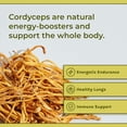 thumbnail image 5 of Naturealm Cordyceps Mushroom Powder - Filler-Free, Organic, 100% Fruiting Bodies - 60-Day Supply, 5 of 7