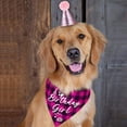 thumbnail image 3 of Pet Birthday Party Set Hat Triangle Scarf Female Dog Festival Decoration Props Cute Pink Set, 3 of 3