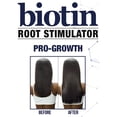 thumbnail image 4 of Estimulador del crecimiento del cabello Difeel Biotin Root 210ml, 4 of 8