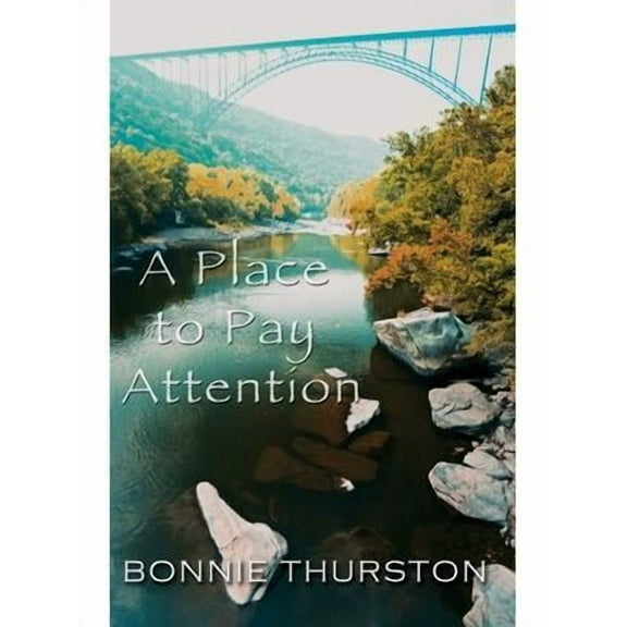 A Place to Pay Attention (Paperback)
