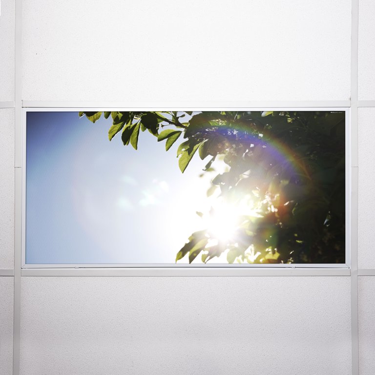 2X4 Light Lens Shelly Lighting