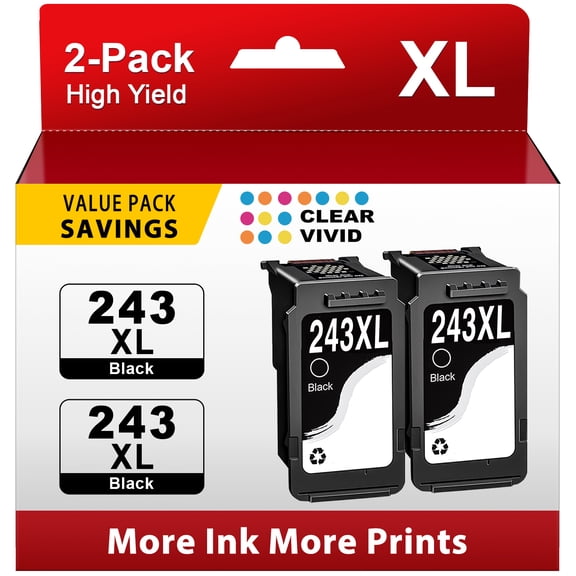 PG 243 Black Ink Cartridge Compatible for Canon 243 Black Ink for Canon Ink 243 243XL for MG2522 TR4520 Printer (2 Black)
