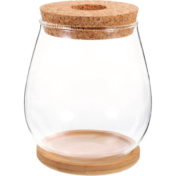 HUGFEGWE Plant Propagation Station with Lid and Tray, Desktop Glass Plant Cuttings Reproduction Stations, Tabletop Glass Vase Clear Propagation Jars Terrariums for Propagating U2536-10121