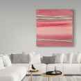 thumbnail image 3 of Trademark Fine Art 'Silver Rose I' Canvas Art by Chris Paschke, 3 of 3