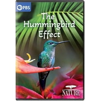 NATURE: The Hummingbird Effect (DVD), PBS (Direct), Documentary