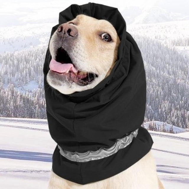 Sudadera con capucha Salvador para perros S orejeras y calentador de orejas