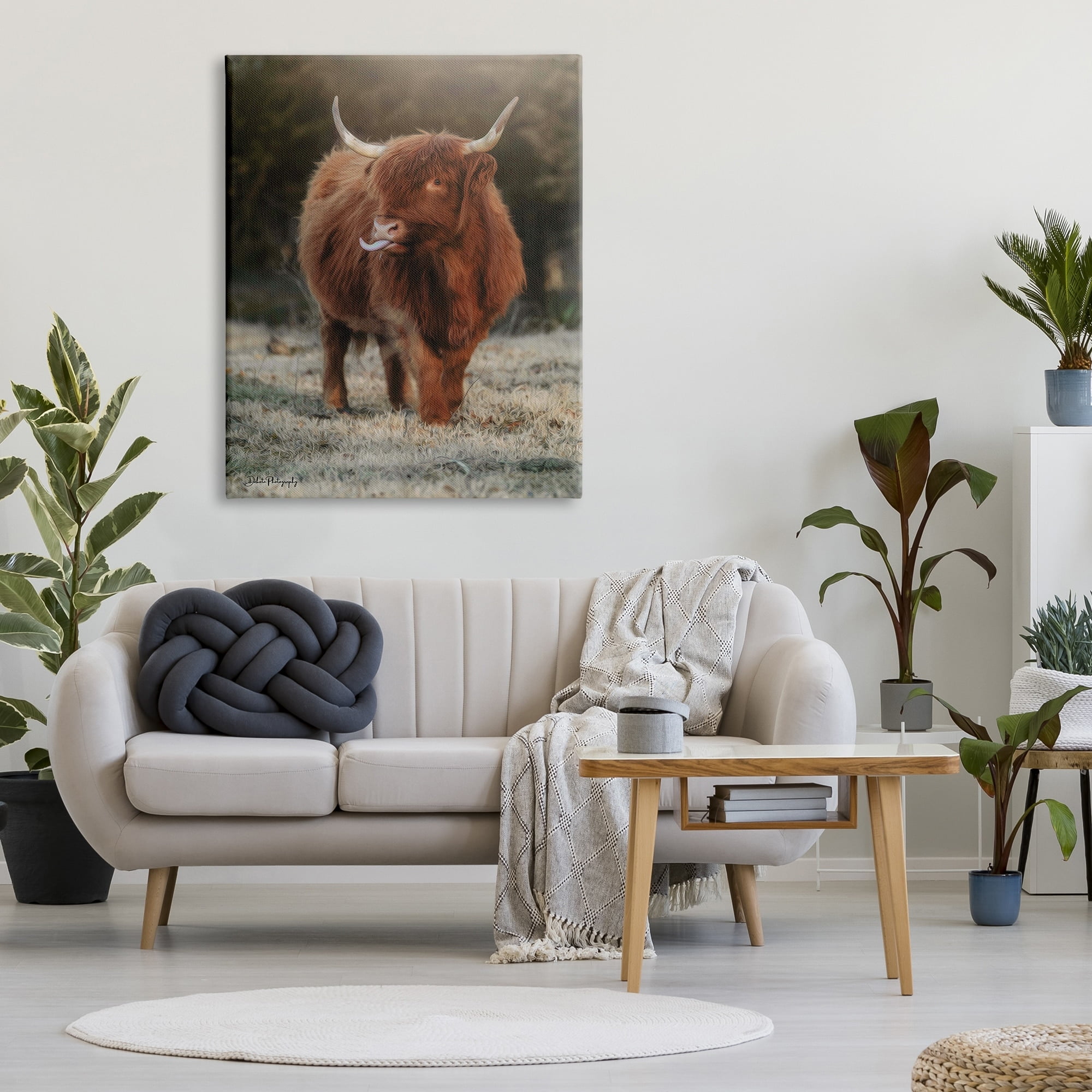 Stupell Highland Cattle Farmhouse Country Animal Animals & Insects Photography Gallery Wrapped Canvas Print Wall Art