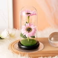 thumbnail image 2 of Aosijia Sunflowers Artificial Flowers in Glass Dome LED light Gifts for Xmas,Valentine Day,Wedding,Mothers Day,Anniversary,Birthday, 2 of 9