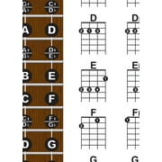 Laminated Ukulele Chord & Fretboard Note Chart - 11x17 Easy Instructional Poster for Beginners - Chords & Notes - A New Song Music