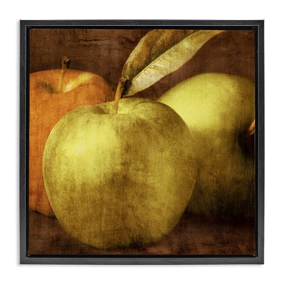 Stupell Industries Vintage Apples Close Up Food & Beverage Painting Black Floater Framed Canvas Art Print Wall Art, 18 x 18