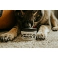 COCONUT PAWS Coconut Oil for Dogs Skin, Hair, Ears, Teeth, and Nails. Organic Cold Pressed
