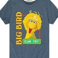 thumbnail image 3 of Sesame Street - Big Bird Photo - Toddler and Youth Short Sleeve Graphic T-Shirt, 3 of 5