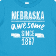 thumbnail image 4 of Inktastic Nebraska Awesome Since 1867 Boys or Girls Baby T-Shirt, 4 of 5