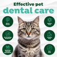 thumbnail image 4 of Pasta de dientes TropicLean No Brush Cat Dental Gel 65 ml, 4 of 7