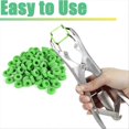 thumbnail image 3 of Goat Banding Kit, Banding Snap Clamps with 150 Pieces 2 Size Rings, 3 of 5