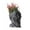 Black, variant on QLUEWX Screaming Zombie Head Planter Pot, 5.7 Inch Horror Skull Succulent Planter, Gothic Resin Plant Pot for Indoor Outdoor Halloween Home Office Desk Decor Gift