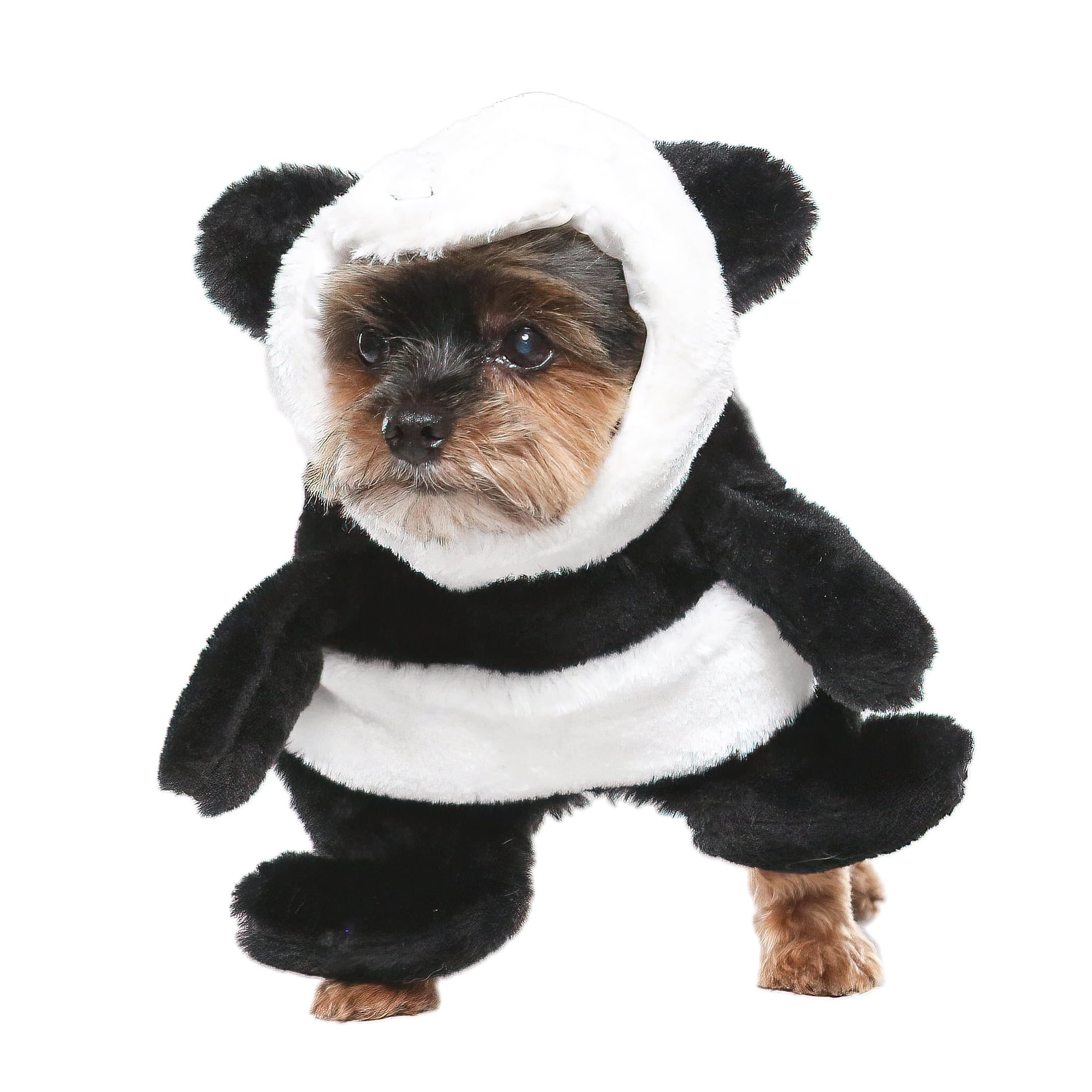 Vibrant Life Halloween Dog Costume and Cat Costume: Panda, Size Extra-Small