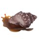 thumbnail image 2 of Caracol de simulación, decoración luminosa duradera para acuario, caracol Artificial de goma para acuario de pecera, 2 of 5