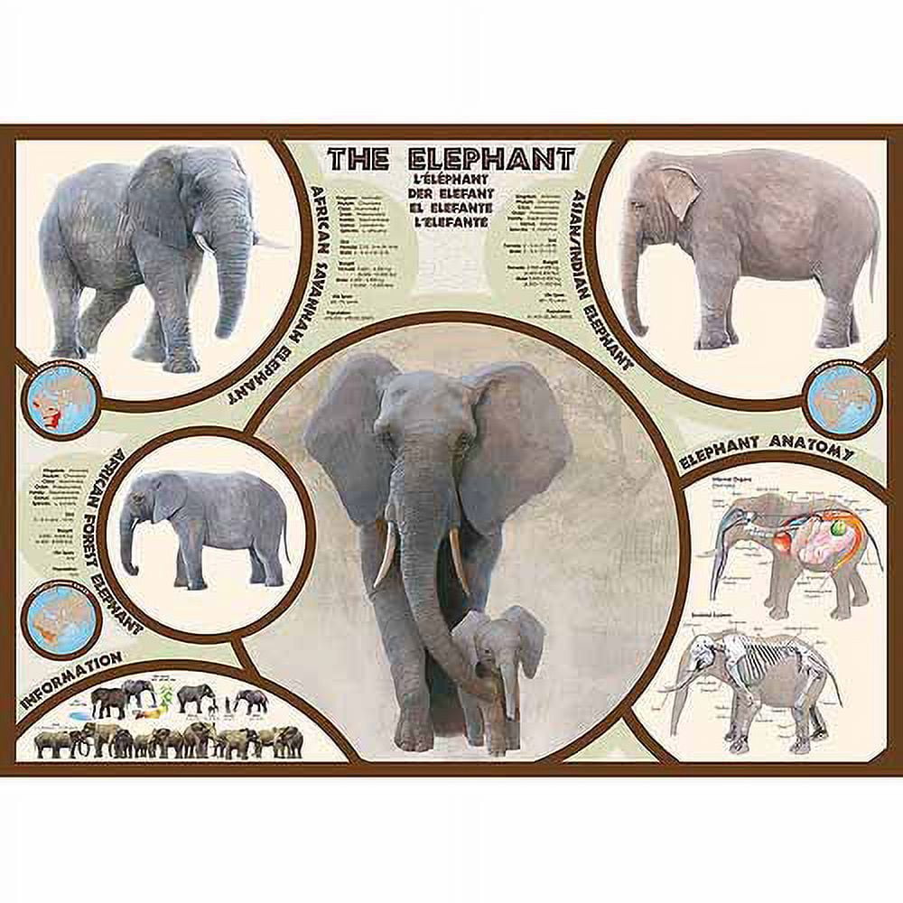 8-Quart Digital Air Fryer