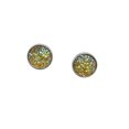 thumbnail image 2 of Pendientes de tuerca de 10 mm Pendientes de forma redonda Pendientes de gota de acero inoxidable resistentes Joyas de moda perforadas Tipo de Ropa, zapatos y accesorios Miscelánea tipo 26 26 Sonducket AP010471-26, 2 of 6