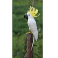 thumbnail image 5 of Large Artificial Bird Feathered Realistic garden and home Decor Ornament #5, 5 of 5