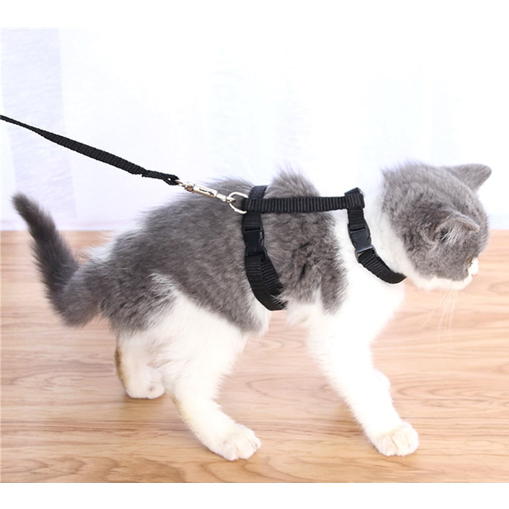 Legendog 2 Pcs Cat Harness and Leash Set Adjustable Halter Pet Harness  Kitten Nylon Strap Belt Safety Rope Leads for Walking Escape Proof  (Clearance