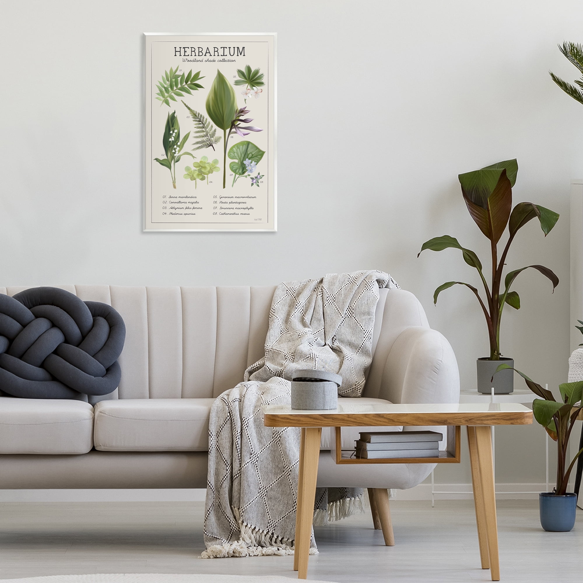 Stupell Industries Herbarium Woodland Shade Collection Wall Plaque Art, design by House Fenway
