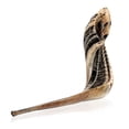 thumbnail image 1 of Cuerno de Shofar HOLY VOICE 41-46 cm Semipulido Israel, 1 of 8
