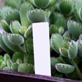 thumbnail image 4 of 200 PCS PVC Étiquette de Plante pour les Semis I-Shape Réutilisable Imperméable Plante Tag Pot, 4 of 8