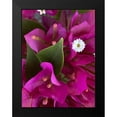 thumbnail image 2 of Grayscale 15x18 Black Modern Framed Museum Art Print Titled - Bougainvillea II, 2 of 5
