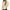 Beige3, variant on Lmnyox Women's Long Sleeve Sweatshirts Oversized Heart Print Hooded Sweatshirt with Pocket Valentine's Day Clothes