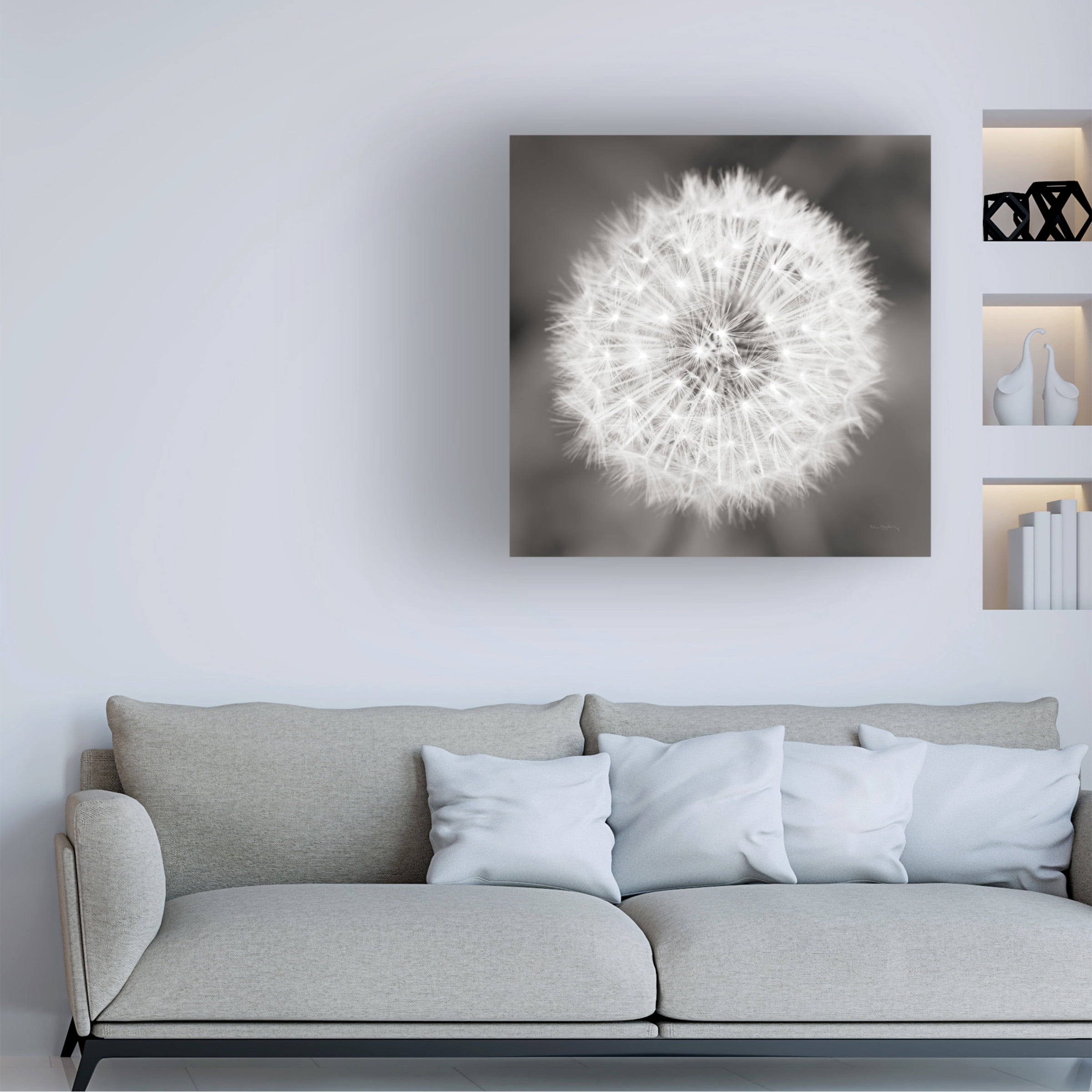 Trademark Fine Art 'Dandelion Seedhead' Canvas Art by Alan Majchrowicz