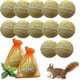 thumbnail image 1 of Squirrel Repellent 12 Pack, Chipmunk Repellent Outdoor, Natural Squirrel Repellent Mint Squirrel Deterrent For Bird Feeders/garden/attic,safe Around, 1 of 4