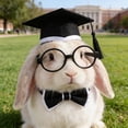 thumbnail image 5 of Pet Graduation Caps with 2026 Black Tassels, Dog and Cats Graduation Hats Adjustable Mini Graduation Caps for Graduation Photo Props Holiday Costume, 5 of 6